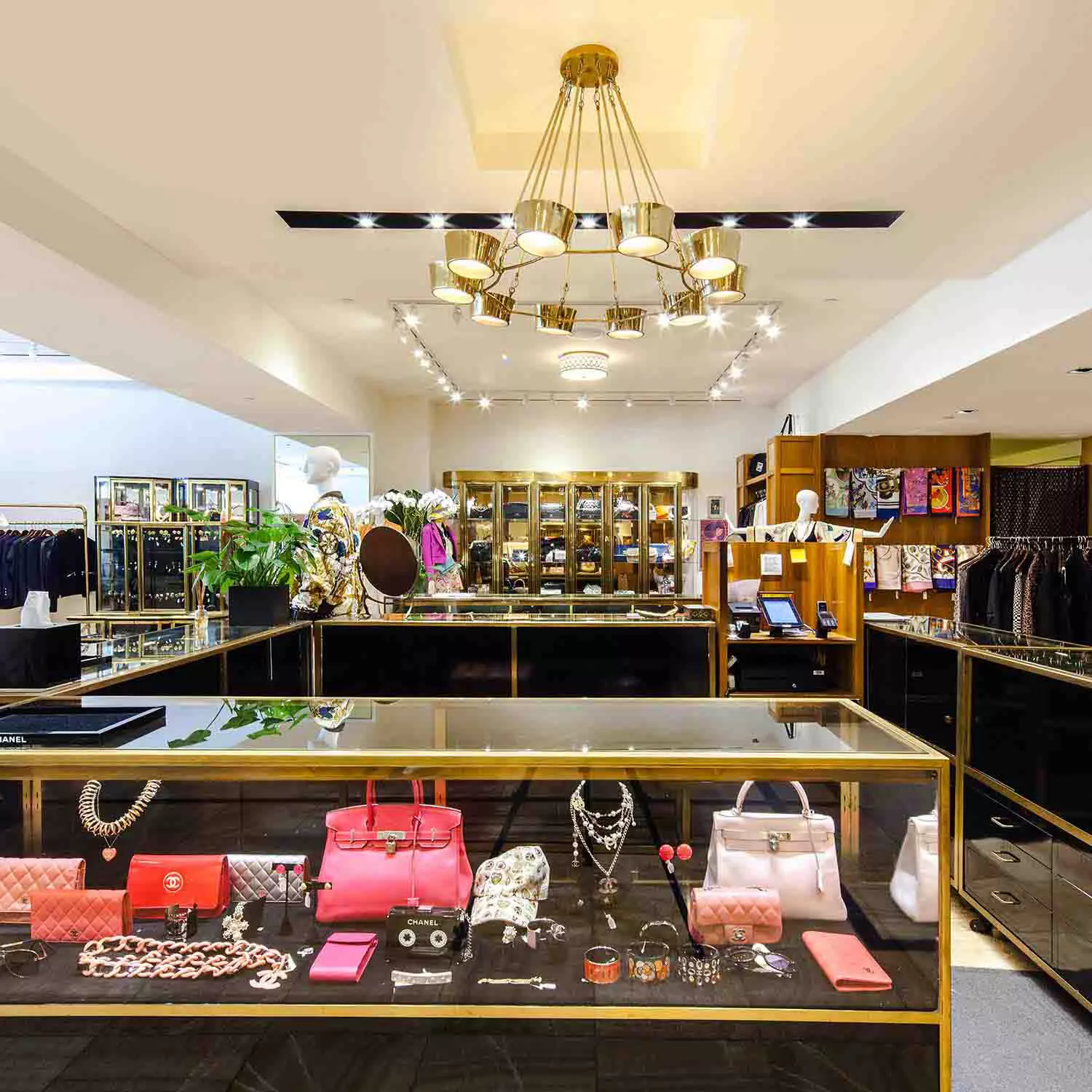 Beverly Hills store interior shot of glass case with products