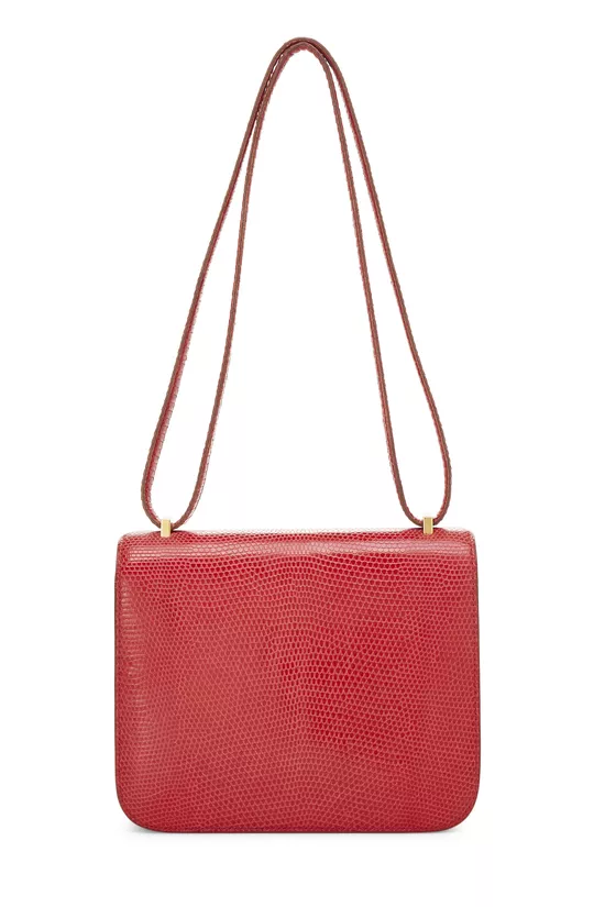 Rouge Vif Varanus Niloticus Water Monitor Lizard Constance 18, , large image number 3