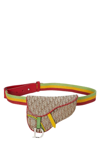 Christian Dior Multicolor Rasta Saddle Belt Bag Mini