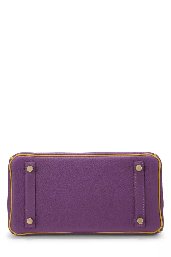 Anemone & Jaune Ambre Horseshoe Birkin 25 Special Order, , large image number 4