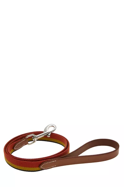 Multicolored Wool Rocabar Dog Leash