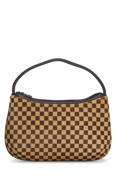 Louis Vuitton Brown Damier Sauvage Tiger Pochette — photo 1