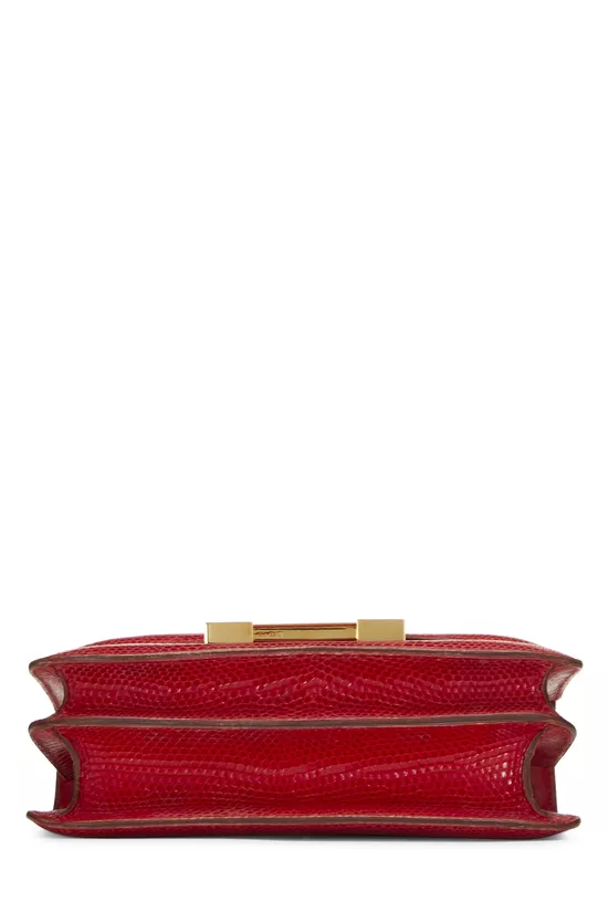 Rouge Vif Varanus Niloticus Water Monitor Lizard Constance 18, , large image number 4