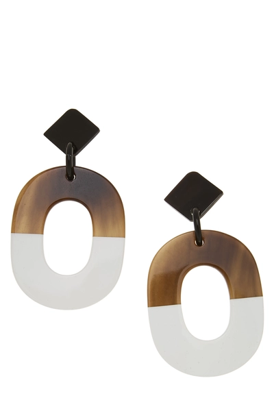 Multicolor Acrylic Buffalo Horn Ism Earrings