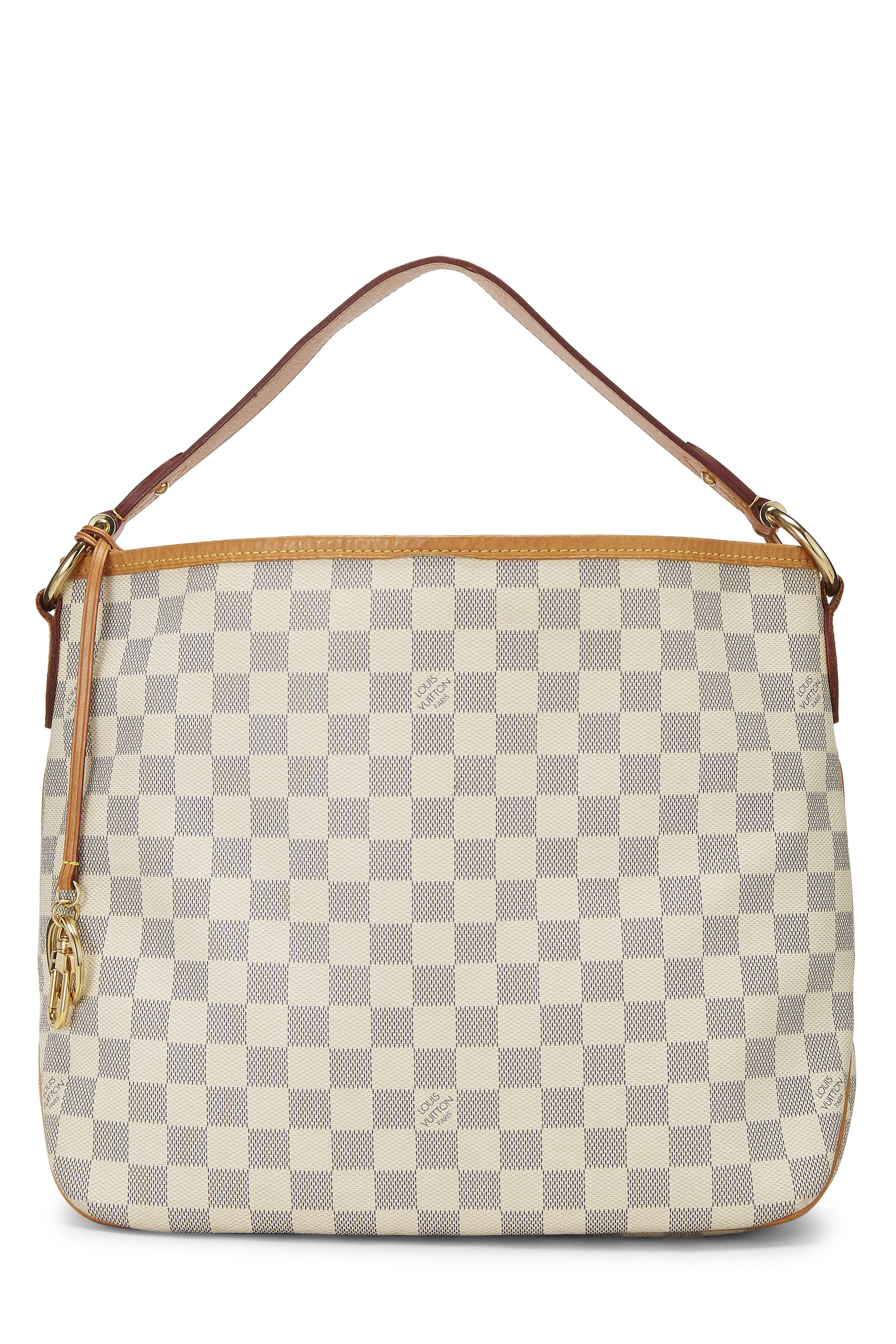 louis vuitton delightful damier