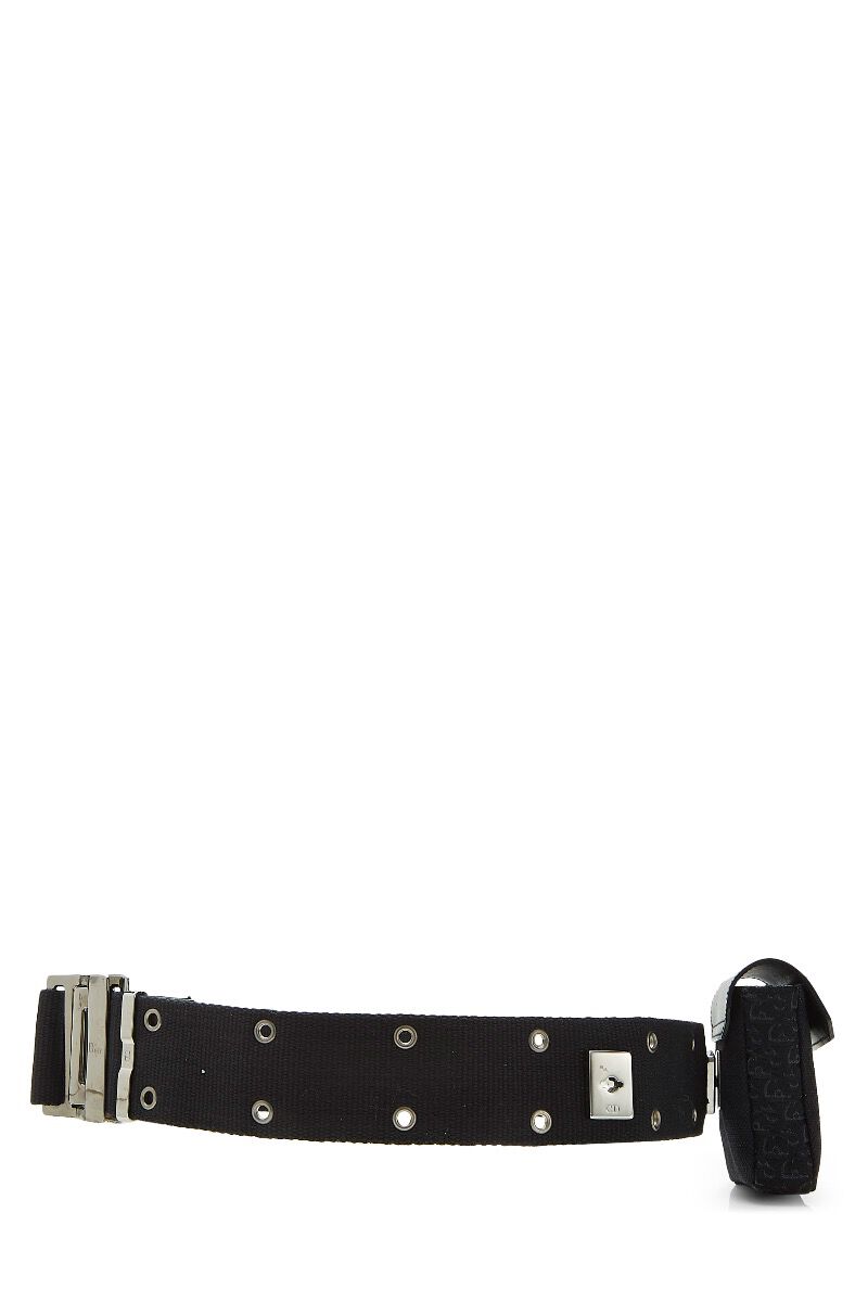 dior rollercoaster belt