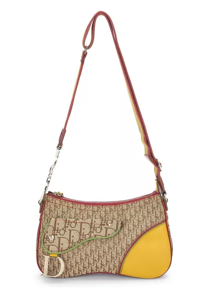 Christian Dior Multicolor Trotter Canvas Rasta Double Saddle Bag