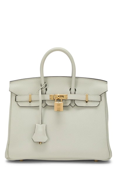 Gris Neve Togo Birkin 25