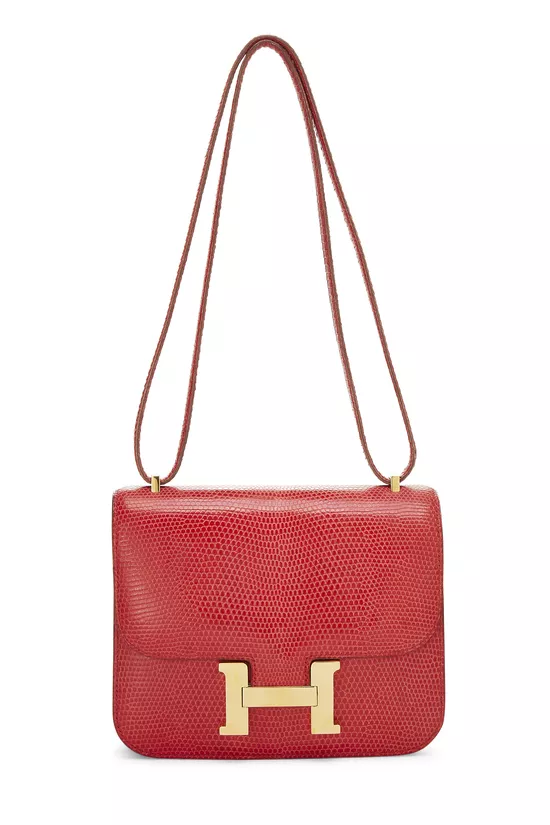 Rouge Vif Varanus Niloticus Water Monitor Lizard Constance 18, , large image number 0