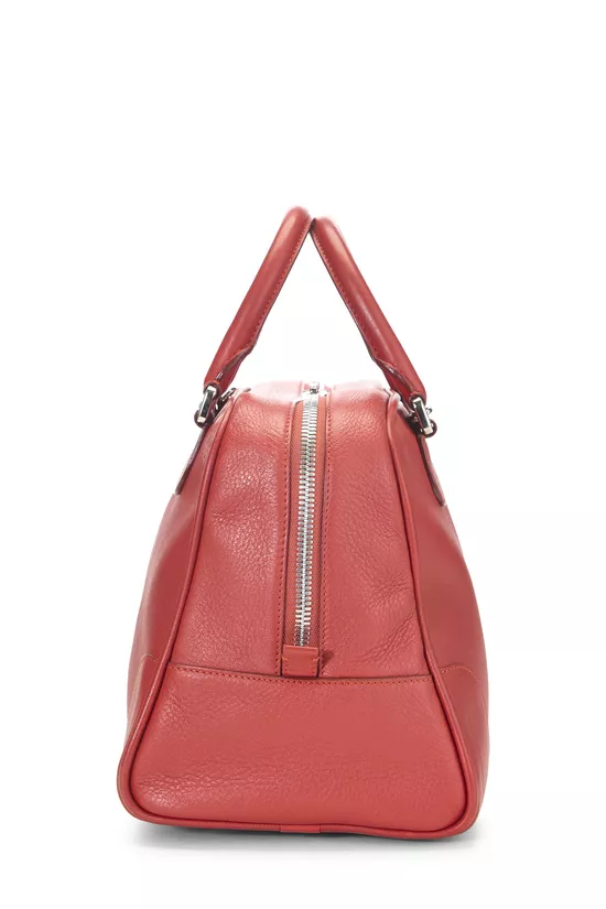 Red Leather Amazona, , large image number 2