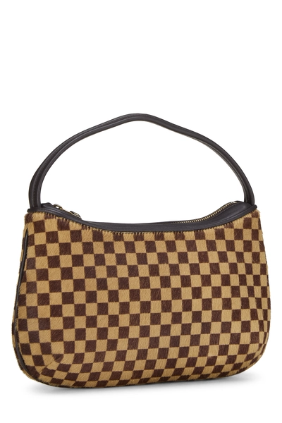 Louis Vuitton Brown Damier Sauvage Tiger Pochette — photo 2