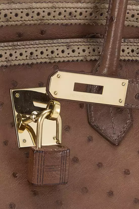 Mousse, Marron Fonce, Etrusque Ostrich Birkin 35, , large image number 7