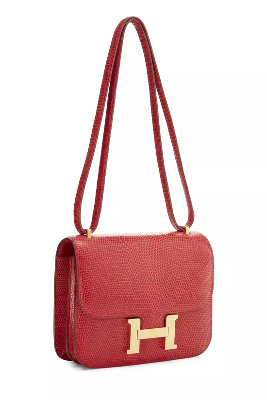 Rouge Vif Varanus Niloticus Water Monitor Lizard Constance 18, , large image number 1