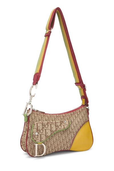 Christian Dior Beige Trotter Canvas Rasta Double Saddle Bag — photo 2