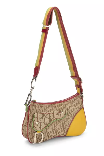 Christian Dior Multicolor Trotter Canvas Rasta Double Saddle Bag — photo 2