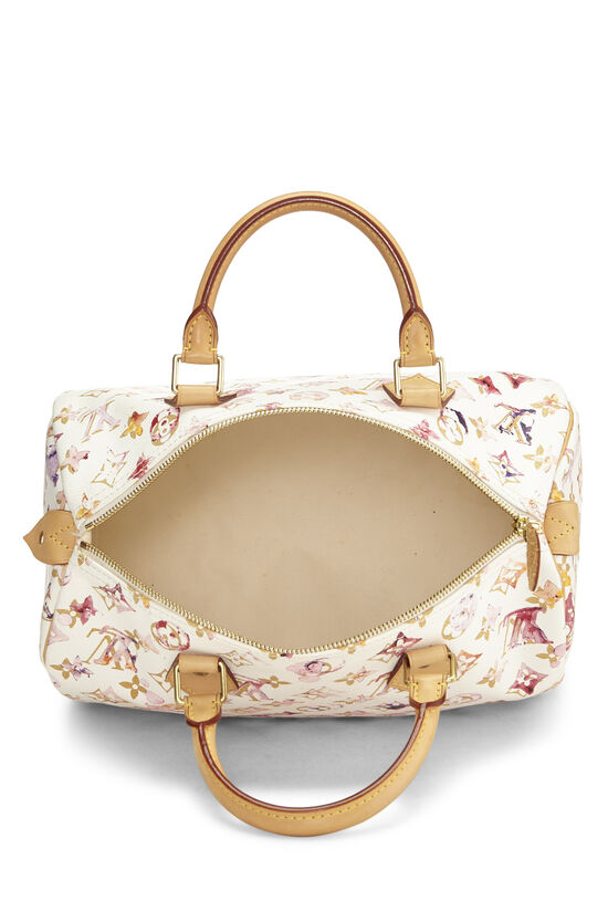 LOUIS VUITTON LIMITED EDITION WATERCOLOR SPEEDY 30