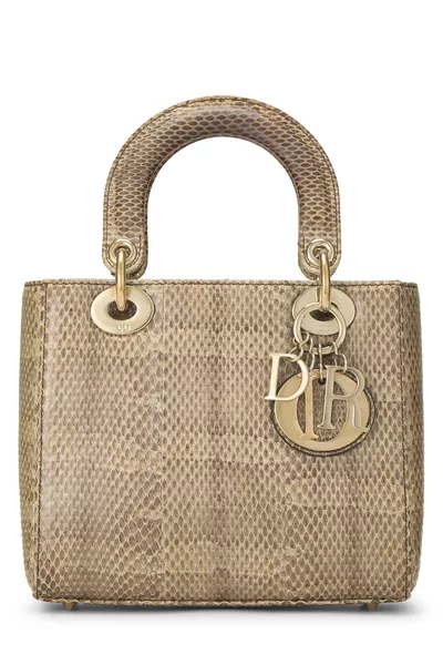 Brown Python Lady Dior Small