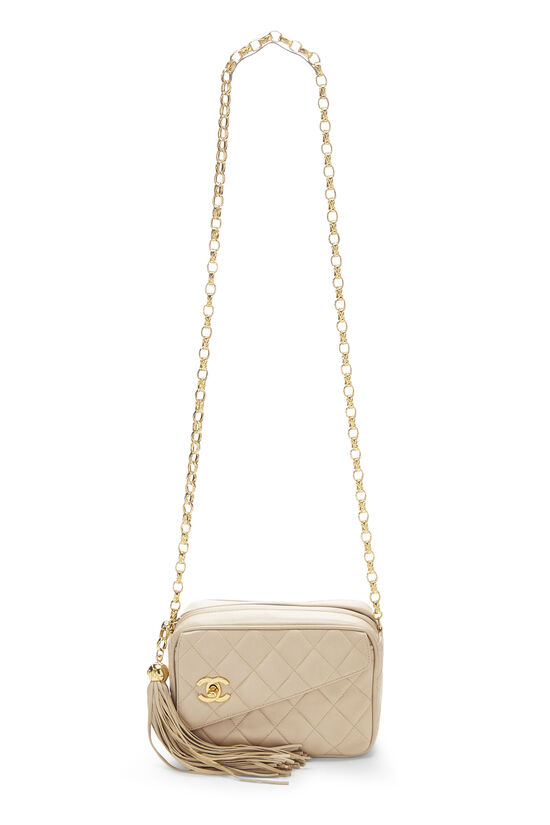 Louis Vuitton lv small cross body zippy camera bag with tassels