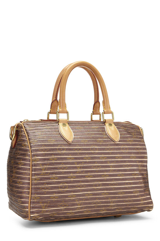 Louis Vuitton Speedy Eden Limited Edition Cross Body Bag
